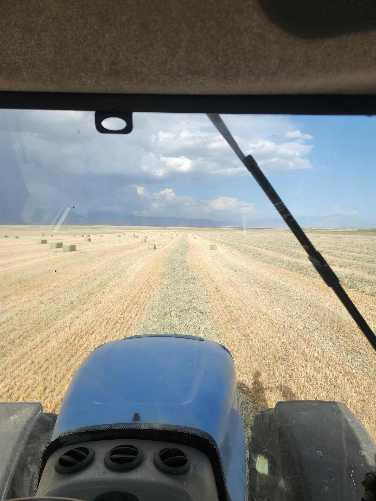 3x3 Three-Way Bales Supreme Quality **50% DEPOSIT**