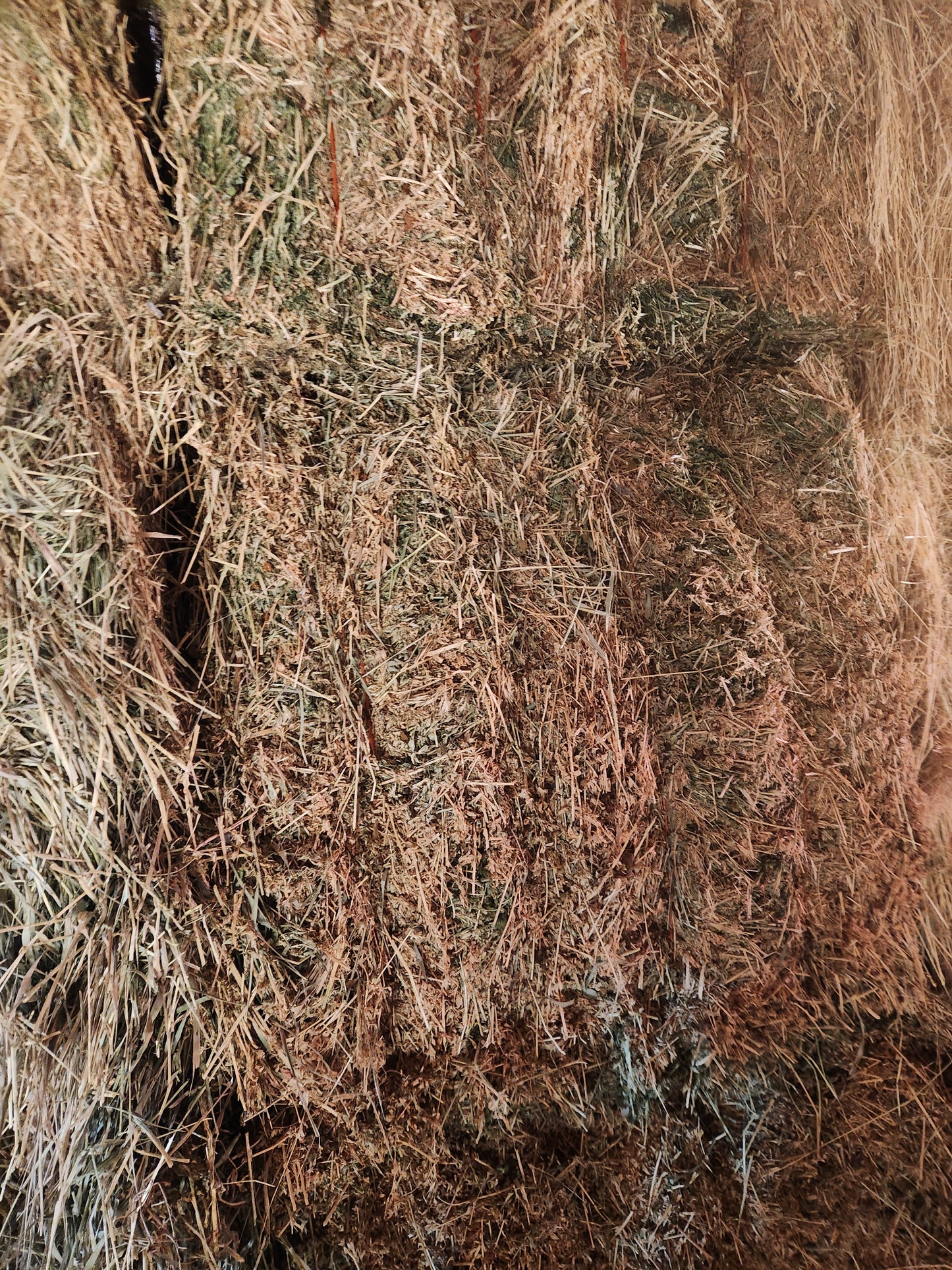 3x3 Alfalfa Bales Premium Quality - Barn Stored **50% DEPOSIT**