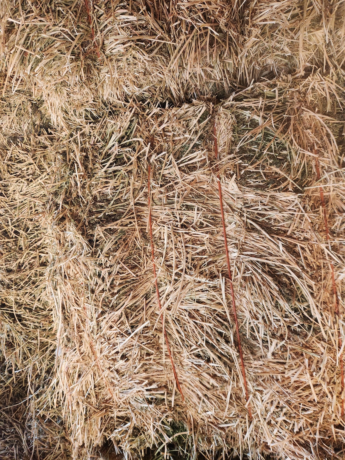 3x3 Alfalfa Bales Premium Quality - Barn Stored **50% DEPOSIT**