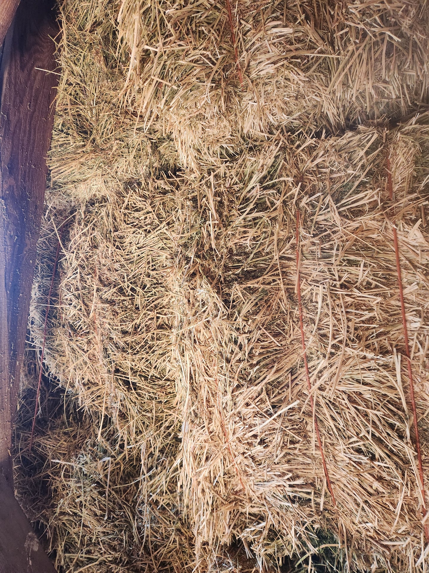 3x3 Alfalfa Bales Premium Quality - Barn Stored **50% DEPOSIT**