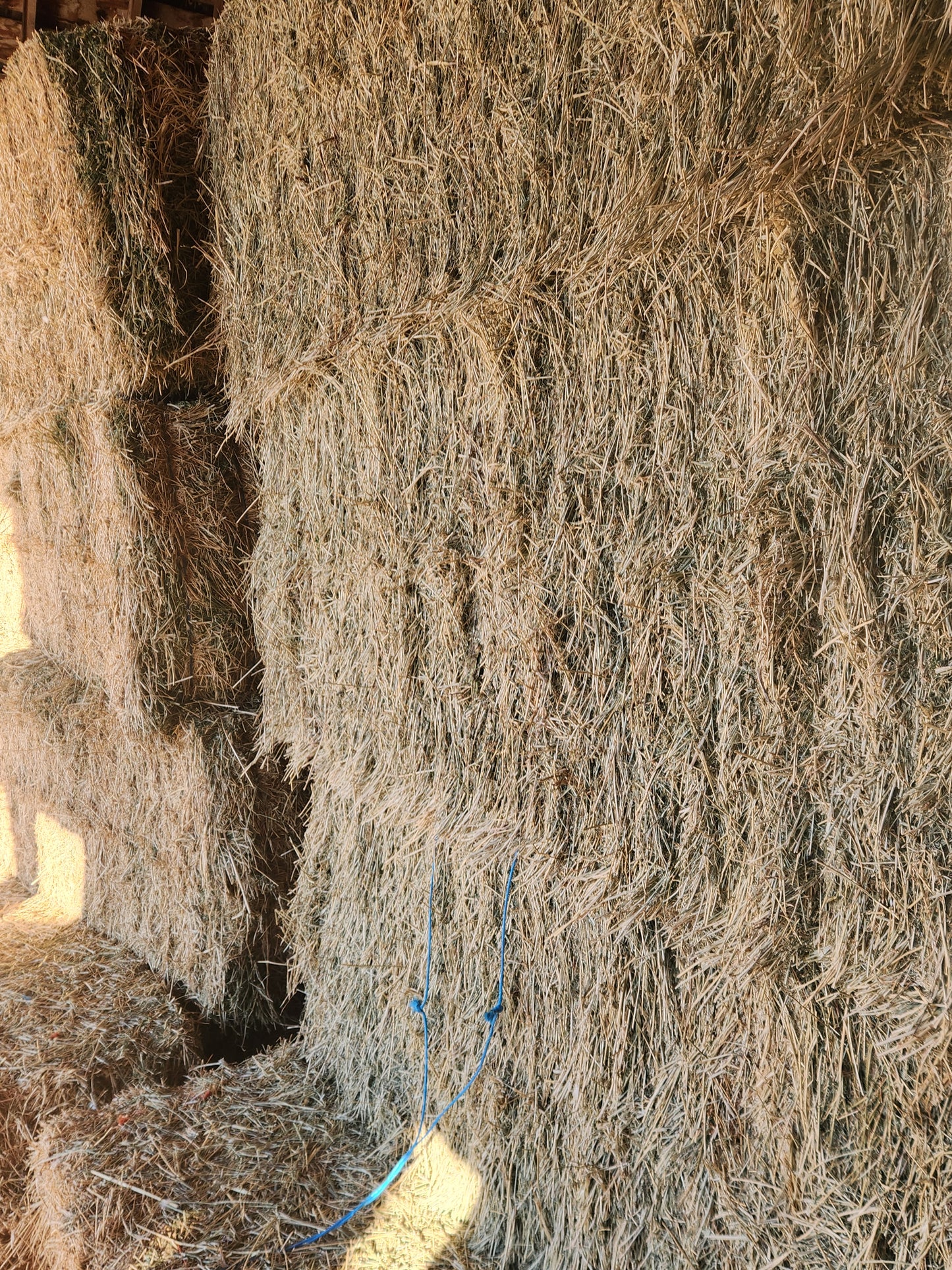 3x3 Alfalfa Bales Premium Quality - Barn Stored **50% DEPOSIT**