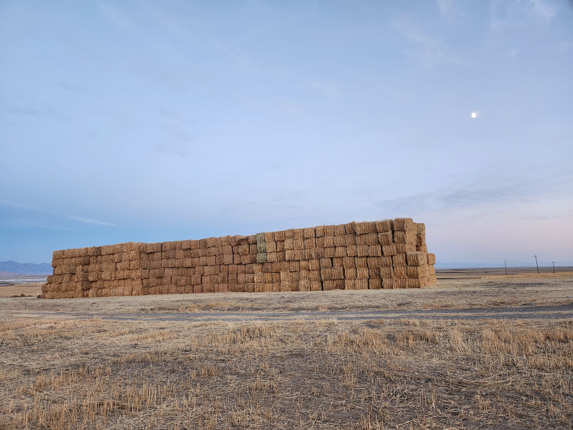 Forage 3-way haybales 3x3 700ibs in box elder county utah